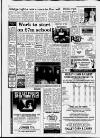 Carmarthen Journal Wednesday 03 February 1993 Page 3