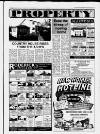 Carmarthen Journal Wednesday 17 February 1993 Page 19