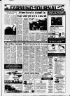 Carmarthen Journal Wednesday 02 June 1993 Page 11