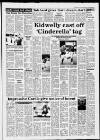 Carmarthen Journal Wednesday 25 August 1993 Page 35