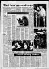 Carmarthen Journal Wednesday 01 December 1993 Page 17