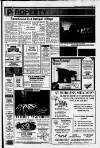 Carmarthen Journal Wednesday 04 January 1995 Page 13