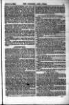 Colonies and India Saturday 04 January 1879 Page 11