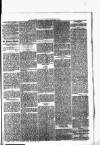 Nuneaton Observer Friday 09 November 1877 Page 4