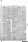 Nuneaton Observer Friday 07 December 1877 Page 4