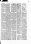 Nuneaton Observer Friday 14 December 1877 Page 3