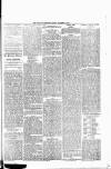 Nuneaton Observer Friday 21 December 1877 Page 4
