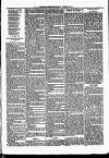 Nuneaton Observer Friday 18 January 1878 Page 3