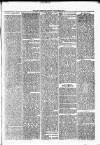 Nuneaton Observer Friday 01 February 1878 Page 3