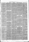 Nuneaton Observer Friday 22 February 1878 Page 3