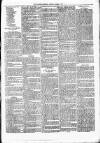 Nuneaton Observer Friday 01 March 1878 Page 7