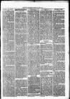 Nuneaton Observer Friday 15 March 1878 Page 3
