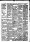 Nuneaton Observer Friday 29 March 1878 Page 7