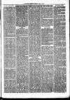Nuneaton Observer Friday 05 April 1878 Page 3