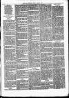 Nuneaton Observer Friday 05 April 1878 Page 7