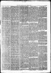 Nuneaton Observer Friday 12 April 1878 Page 3