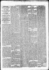 Nuneaton Observer Friday 12 April 1878 Page 5