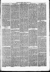 Nuneaton Observer Friday 19 April 1878 Page 3