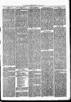 Nuneaton Observer Friday 26 April 1878 Page 3