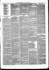 Nuneaton Observer Friday 26 April 1878 Page 7