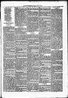 Nuneaton Observer Friday 03 May 1878 Page 7