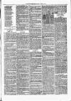 Nuneaton Observer Friday 17 May 1878 Page 7