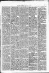 Nuneaton Observer Friday 24 May 1878 Page 3
