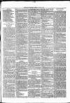Nuneaton Observer Friday 24 May 1878 Page 7
