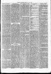 Nuneaton Observer Friday 28 June 1878 Page 3