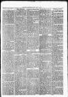 Nuneaton Observer Friday 05 July 1878 Page 3