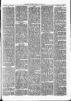 Nuneaton Observer Friday 26 July 1878 Page 3