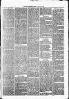 Nuneaton Observer Friday 16 August 1878 Page 3