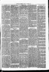 Nuneaton Observer Friday 30 August 1878 Page 3