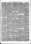 Nuneaton Observer Friday 06 September 1878 Page 3