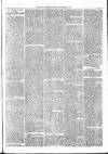 Nuneaton Observer Friday 13 September 1878 Page 3