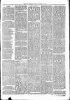Nuneaton Observer Friday 20 September 1878 Page 3