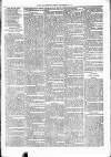 Nuneaton Observer Friday 20 September 1878 Page 7