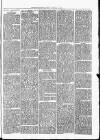 Nuneaton Observer Friday 11 October 1878 Page 3