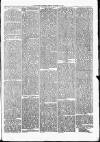 Nuneaton Observer Friday 18 October 1878 Page 3