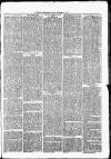 Nuneaton Observer Friday 25 October 1878 Page 3