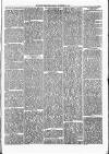 Nuneaton Observer Friday 01 November 1878 Page 3