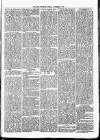 Nuneaton Observer Friday 08 November 1878 Page 3