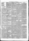 Nuneaton Observer Friday 08 November 1878 Page 7