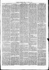 Nuneaton Observer Friday 15 November 1878 Page 3