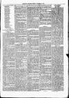 Nuneaton Observer Friday 15 November 1878 Page 7