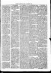 Nuneaton Observer Friday 22 November 1878 Page 3