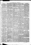 Nuneaton Observer Friday 29 November 1878 Page 3