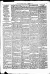 Nuneaton Observer Friday 29 November 1878 Page 7
