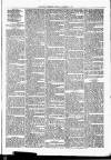 Nuneaton Observer Friday 06 December 1878 Page 3