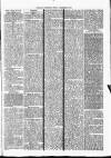 Nuneaton Observer Friday 20 December 1878 Page 3
